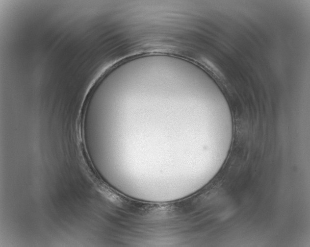 X0000068740891200604281013