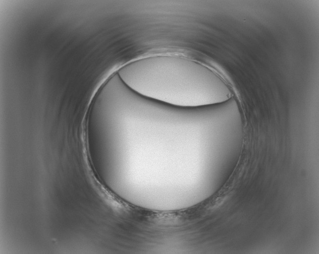 X0000068740907200604281013