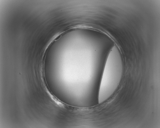 X0000068740909200604281013