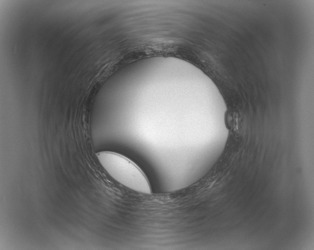 X0000068740915200604281012