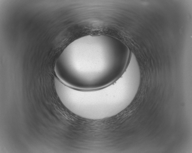 X0000068740916200604281012