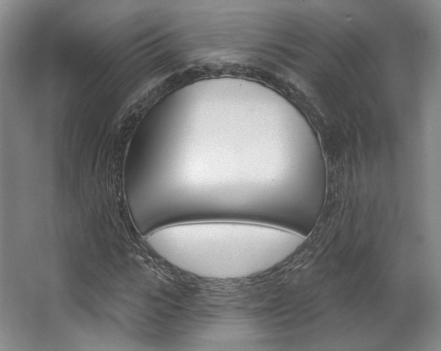 X0000068740919200604281012