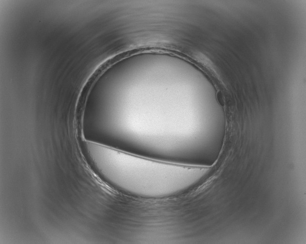 X0000068740924200604281012