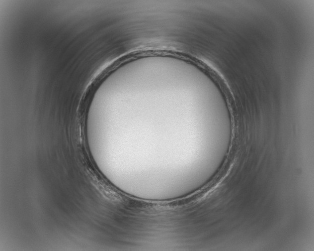 X0000068740925200604281012