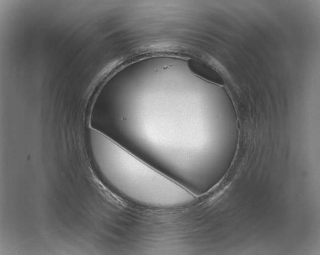 X0000068740930200604281012