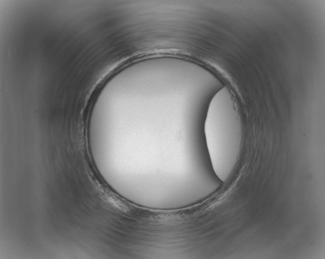 X0000068740933200604281012