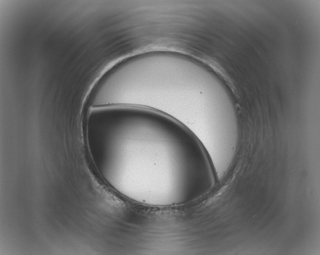 X0000068740934200604281012