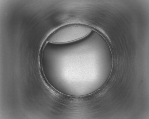 X0000068740935200604281012