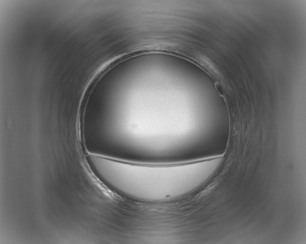 X0000068740940200604281012