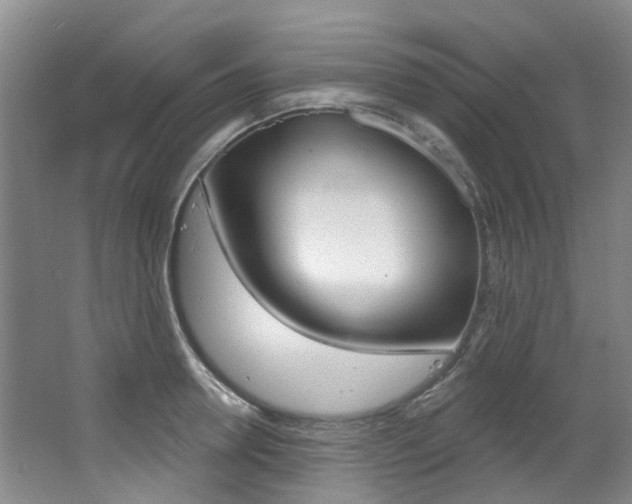 X0000068740946200604281012