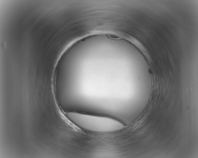 X0000068740958200604281013
