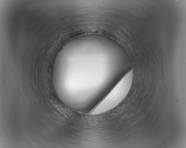 X0000068740961200604281012