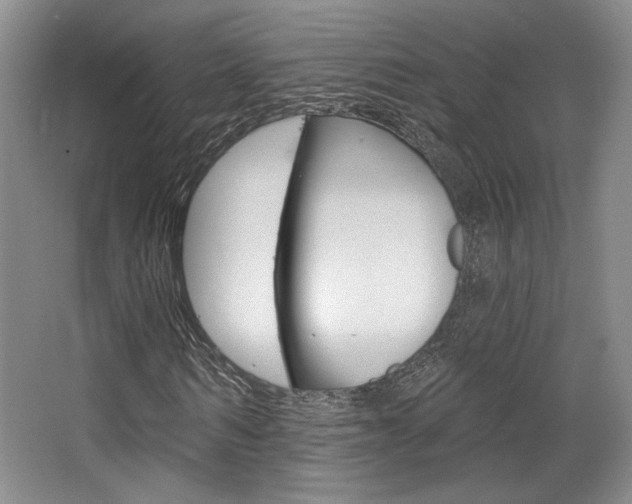 X0000068740962200604281012