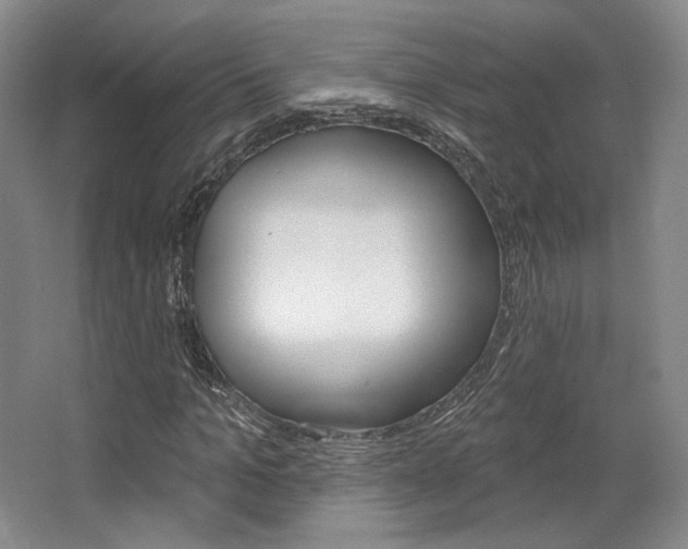 X0000068740965200604281012