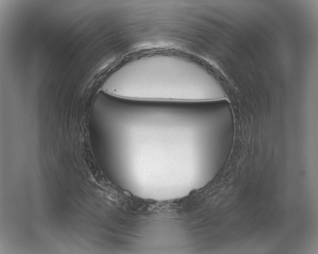 X0000068740967200604281012