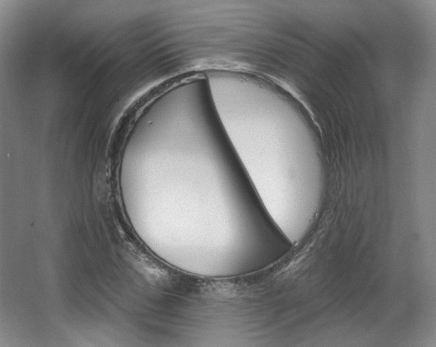 X0000068740971200604281012