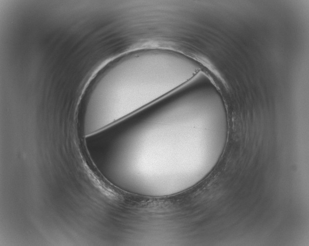 X0000068740972200604281012