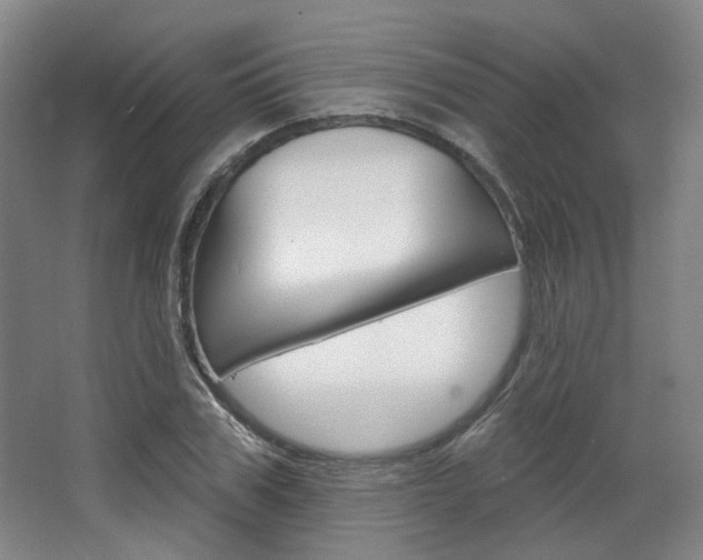 X0000068740979200604281012