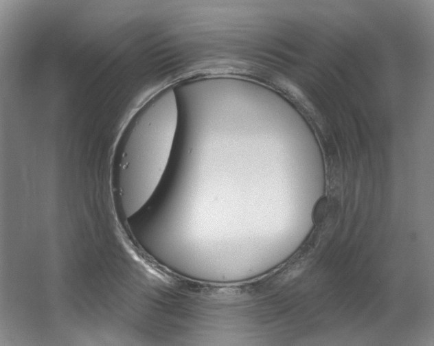 X0000068740986200604281011