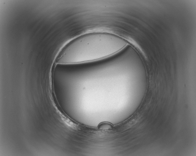 X0000068740988200604281011