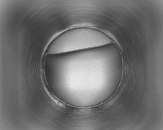 X0000068740989200604281011