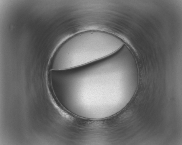 X0000068740991200604281011