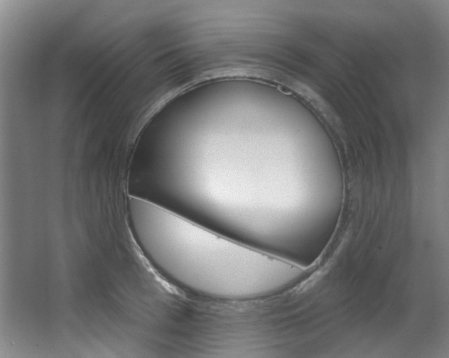X0000068740993200604281011