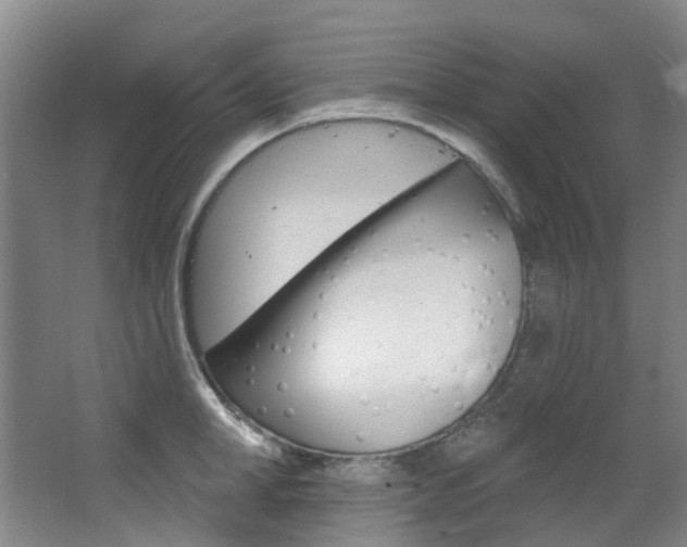 X0000068740998200604281011
