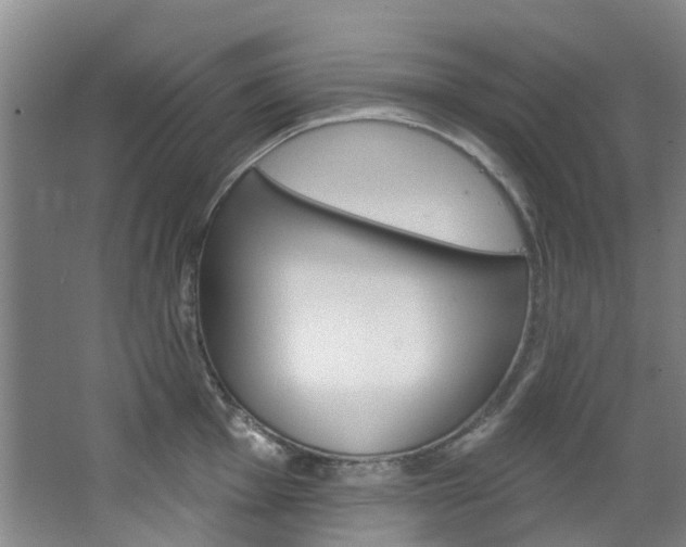 X0000068741001200604281011