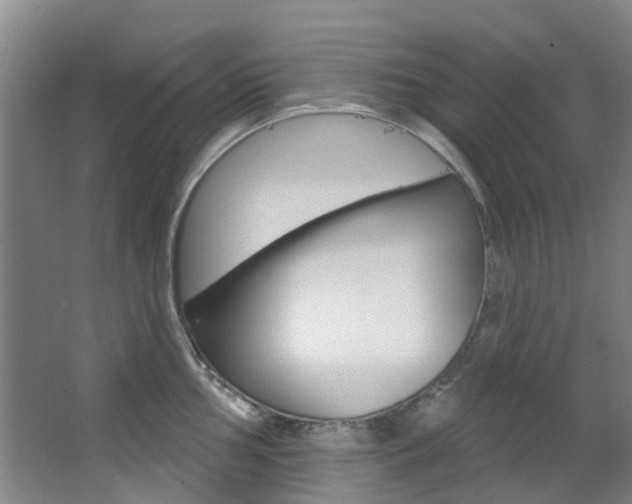 X0000068741002200604281011