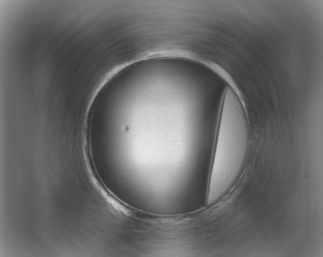 X0000068741005200604281011