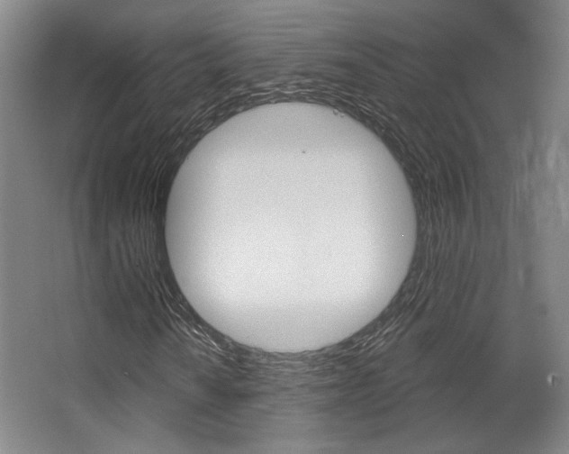 X0000068741010200604281010