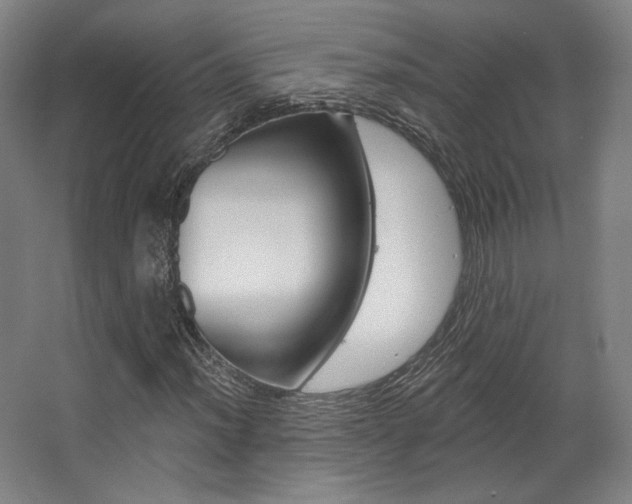 X0000068741012200604281010