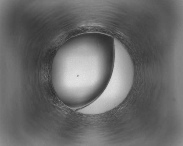 X0000068741014200604281010