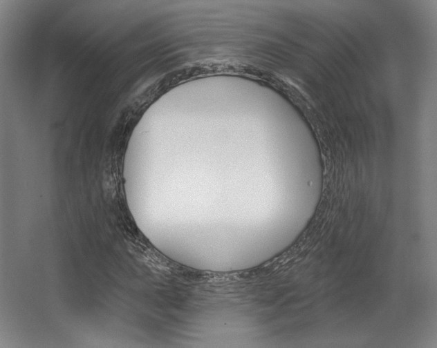 X0000068741015200604281010