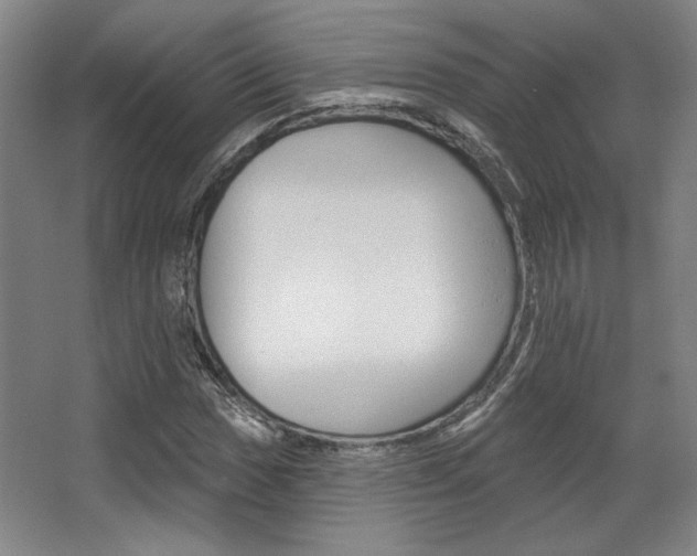 X0000068741017200604281010