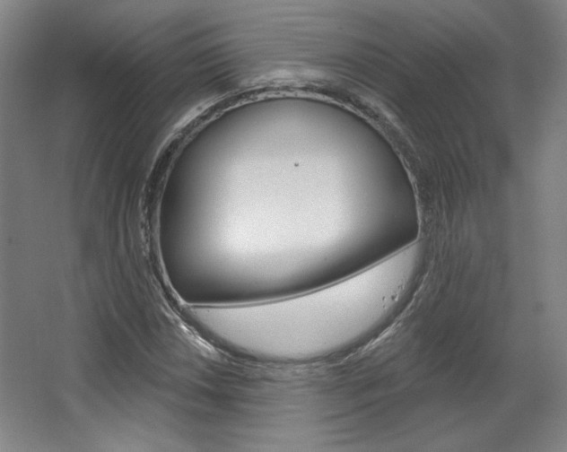 X0000068741018200604281010