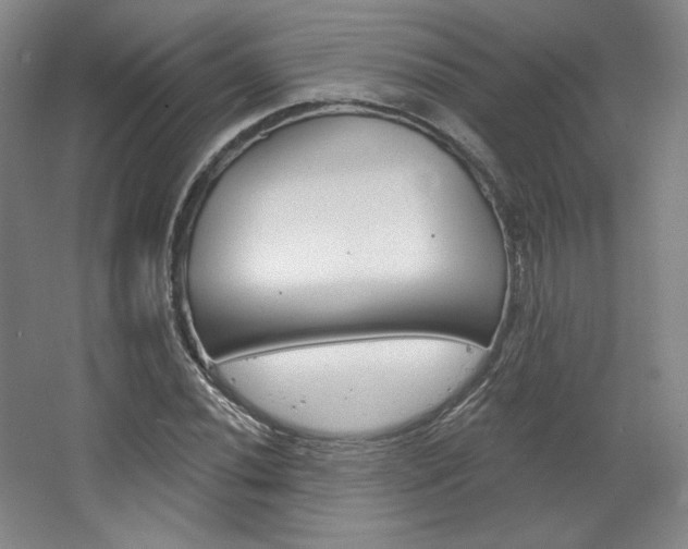 X0000068741020200604281010