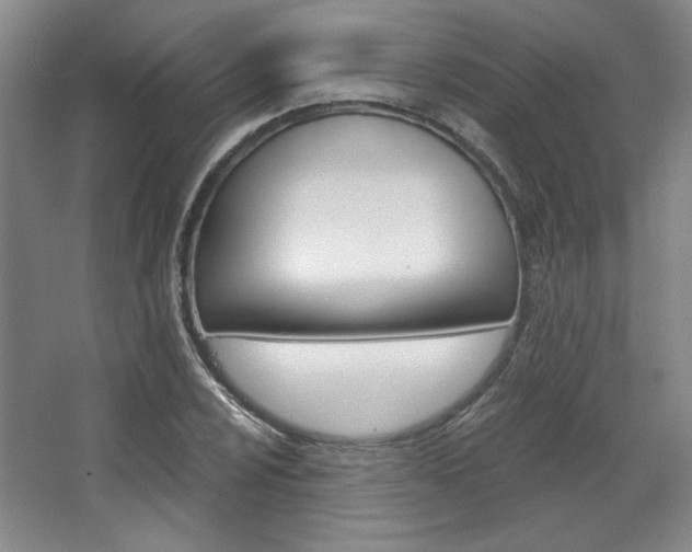 X0000068741024200604281010