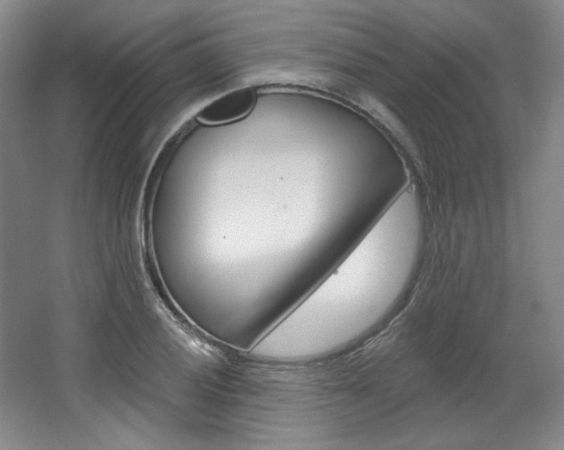 X0000068741028200604281011