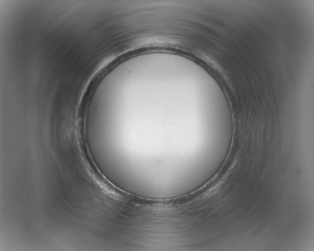 X0000068741029200604281011