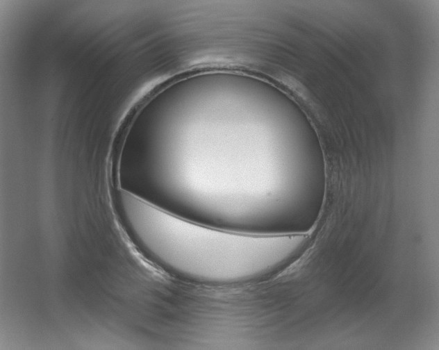 X0000068741030200604281011