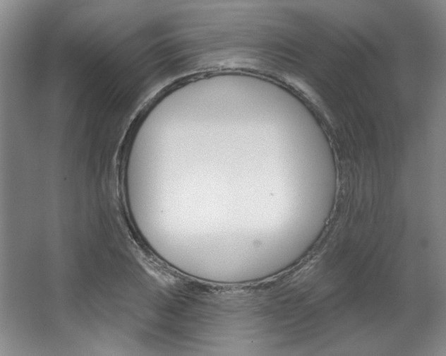 X0000068741031200604281011