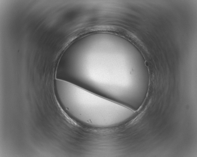 X0000068741033200604281011