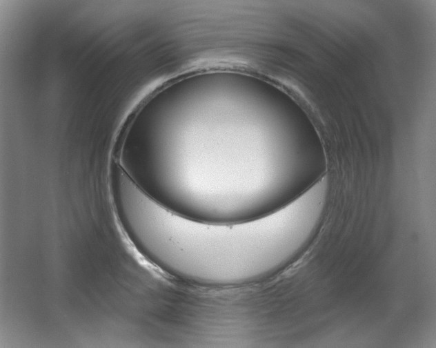 X0000068741038200604281011