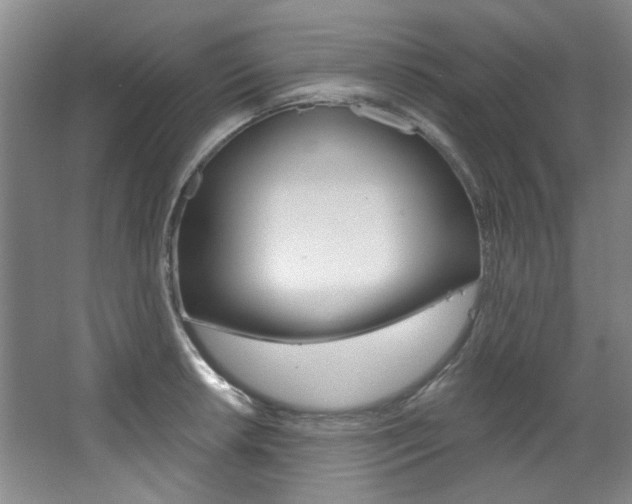 X0000068741042200604281011