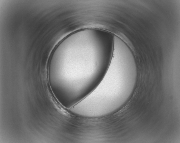 X0000068741044200604281011