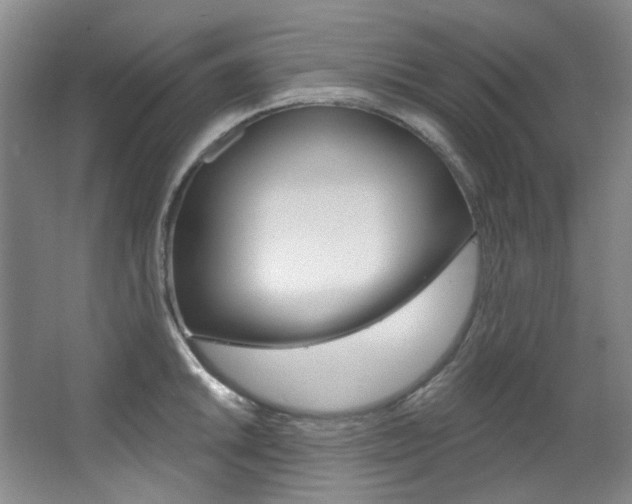 X0000068741046200604281011