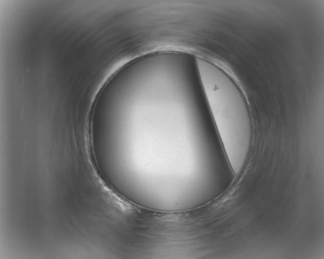 X0000068741048200604281011