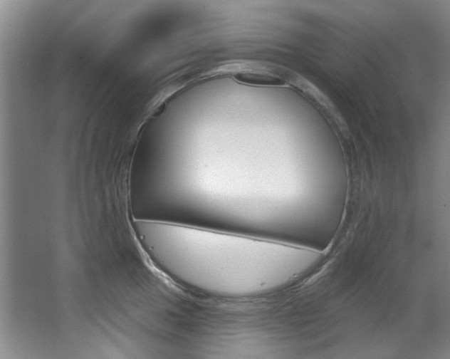 X0000068741049200604281011